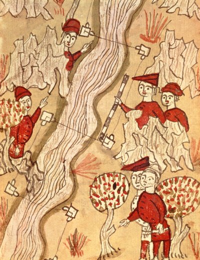 Surveying a river, from 
